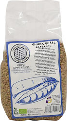 Gaea Lentils 400gr