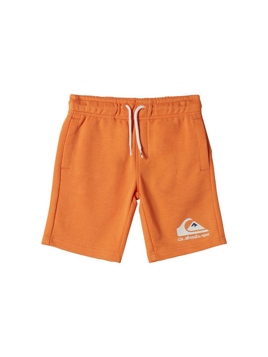 Quiksilver Kids Shorts/Bermuda Fabric Easy Day Sweat Orange