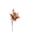 Schaum Kunst Dekorative Zweigstelle Magnolie Beiges 50cm Marhome
