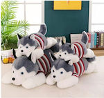 Husky Lutrino Flannel 80 Cm