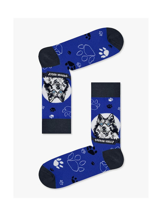 NODO Socks Blue