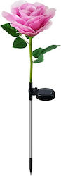 Set 2 Eingesteckte Solarlampen