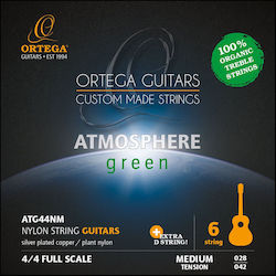 Ortega ATG44NM Μονή Χορδή Silver Plated