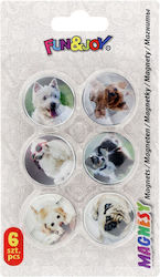 Titanum Кръгли Магнитни сетове 6pcs