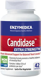 Enzymedica Candidase Extra Strength Spezielles Nahrungsergänzungsmittel 42 Mützen