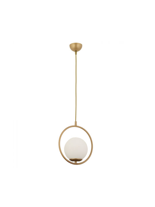 HomeMarkt Pendant Light Gold