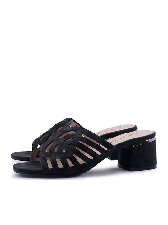B-Soft Mules with Chunky Heel in Black Color