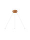 Braytron Pendant Light Brown