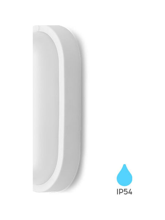 Braytron Επιτοίχια Χελώνα Εξωτερική LED IP54 8W με Ψυχρό Λευκό Φως 16x9x5.1εκ.