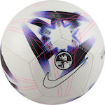 Nike Mini Soccer Ball