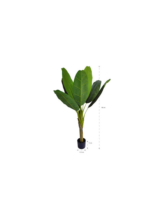 Μπανανιά Εξωτερικού Χώρου 120cm Home & Camp
