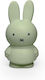AP Money Box Plastic Green