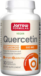 Jarrow Formulas Quercetin 500mg 100 Capsule Jarrow Formulas Quercetin 500mg 100 Capsule