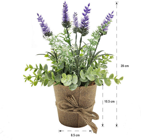 Λεβάντα σε Γλαστράκι 28cm Home & Camp