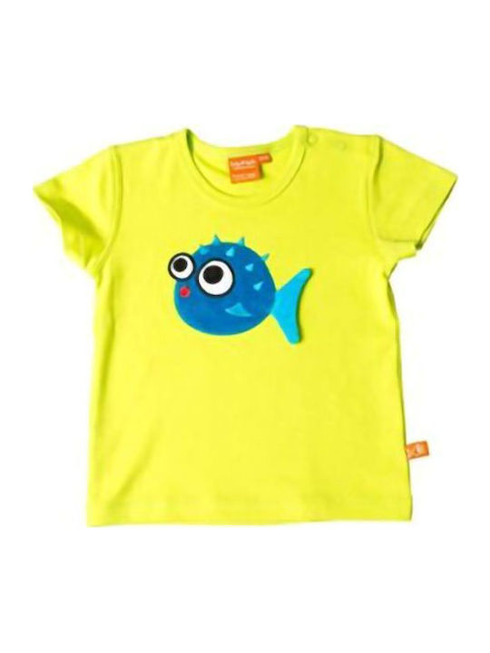 Lipfish