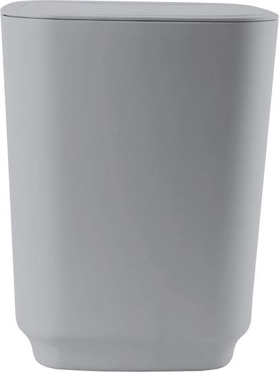 Tpster Plastic Perie de toaletă Gri