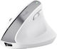 Trust Bayo+ Multidevice Wireless Ergonomic Bluetooth Vertical Mouse White