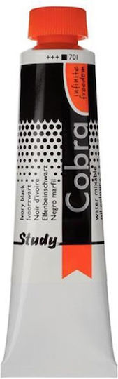 Next Λαδομπογιά 701 IVORY BLACK 40ml