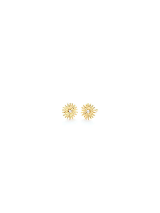 Secrecy Earrings made of Silver Gold Plated