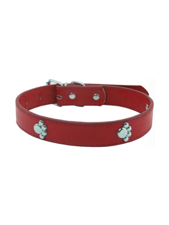 Nobleza Hundehalsband Leder