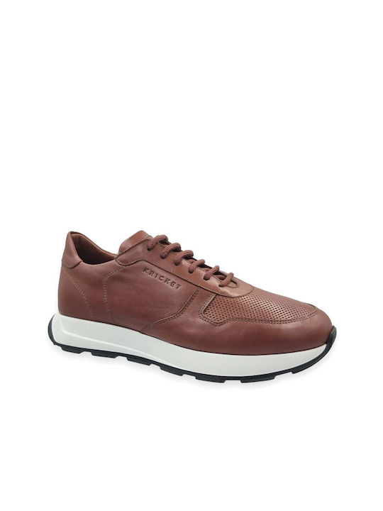 Kricket Sneakers Brown