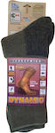 Dimi Dynamic Men's Thermal Socks, Khaki, One Size