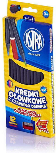 Black Wood Pencil Crayons 12 Colors Triangular Astra 1006