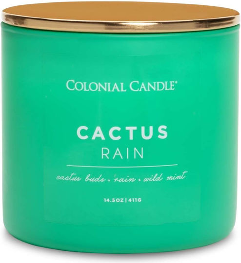 Κερί Αρωματικό 3 Φυτίλια Γυάλινο Δοχείο Cactus Rain 411 Γραμ Pop Color Κερί Αρωματικό 3 Φυτίλια Γυάλινο Δοχείο Cactus Rain 411 Γραμ Pop Color