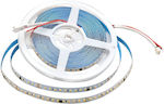 V-TAC Bandă LED Alimentare 24V Lungime 10m SMD2835