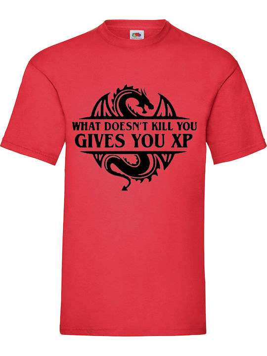 Fruit of the Loom Dungeons And Dragons Blouse R...