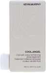 Cool Angel Cool Ash Colour Enhancing Shine Treatment 1000ml