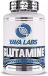 Yava Labs Glutamine 90 Caps