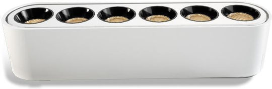Adeleq Deckenleuchte LED Adeleq Deckenleuchte LED