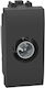 Bticino TV-Buchse Grundlegend in Gray Farbe L4202DN