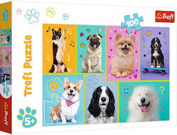 Kids Puzzle World 100pcs Trefl