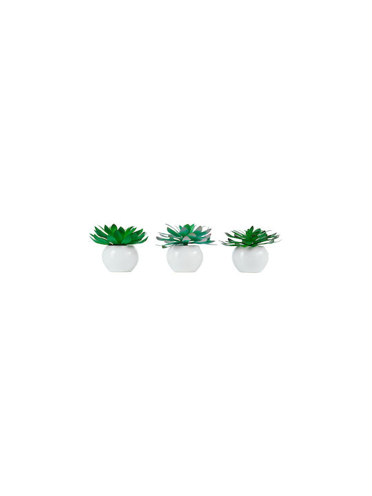 MSA Artificial Decorative Branch Succulent Plant 11cm 1pcs (Various Designs)