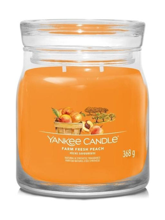 Yankee Candle Scented Candle 368gr 1pcs