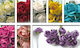Floare de hârtie 8cm 12buc/sac 0520059 0520059 0520059 0520059
