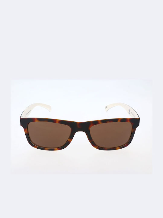 Adidas Sunglasses with Brown Tartaruga Plastic Frame and Brown Lens AOR005-148001