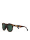 Zippo Women's Sunglasses with Brown Tartaruga Plastic Frame and Brown Lens OB209-5