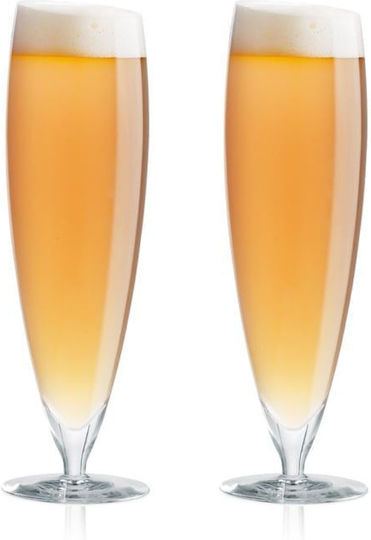 Eva Solo Set of Glasses Beer, μπίρας made of Glass 500ml 2pcs
