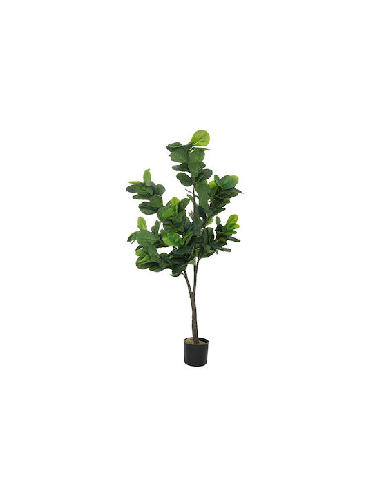 Дърво На Открито Fiddleleaf Tree Ficus Lyrata 180см Atmosphera
