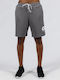 GSA Men's Shorts Gray