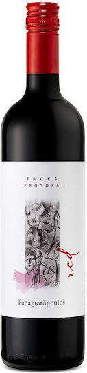 Panagiotopoulos Organic Wine Prosopa Red Dry 750ml
