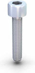 Inox Allen screw M8x35