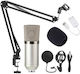 BM-700 Set Kit Microfon Condensator XLR / USB D...
