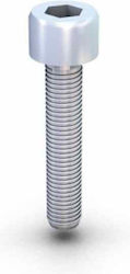 Ιnox Κοχλίας Allen M8x40 Ιnox Κοχλίας Allen M8x40