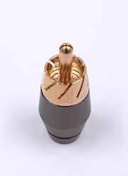 Conchord Rca Plug
