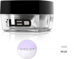 Silcare Gel Violet 15gr