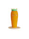 Ονυχοδρόμιο Mr Carrot L40 * W40 * H60cm